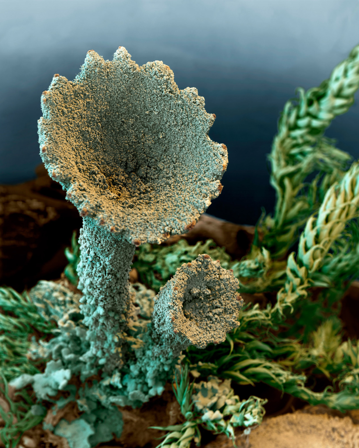 Eye of Science – Science Photo Library