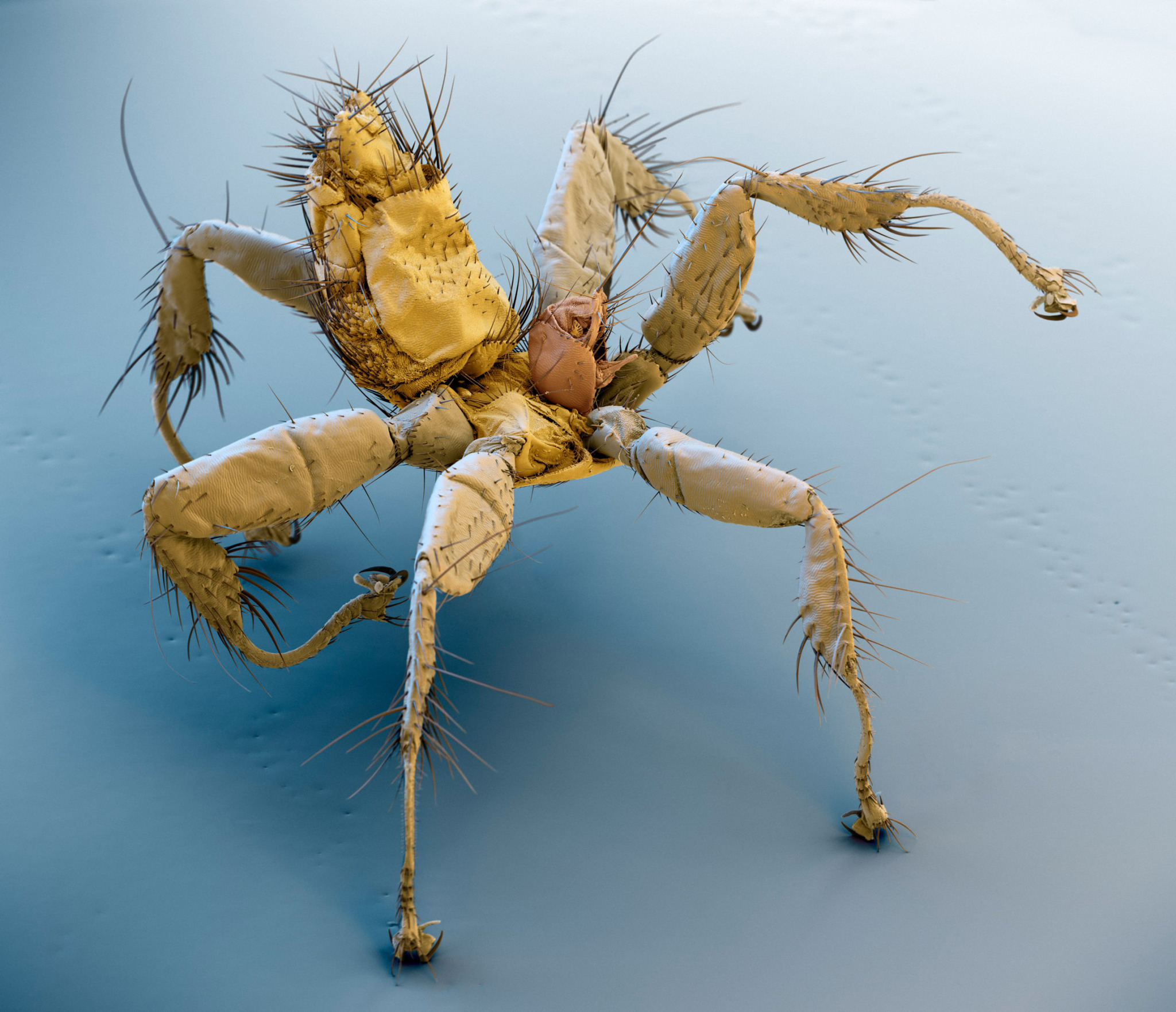 Eye of Science – Science Photo Library