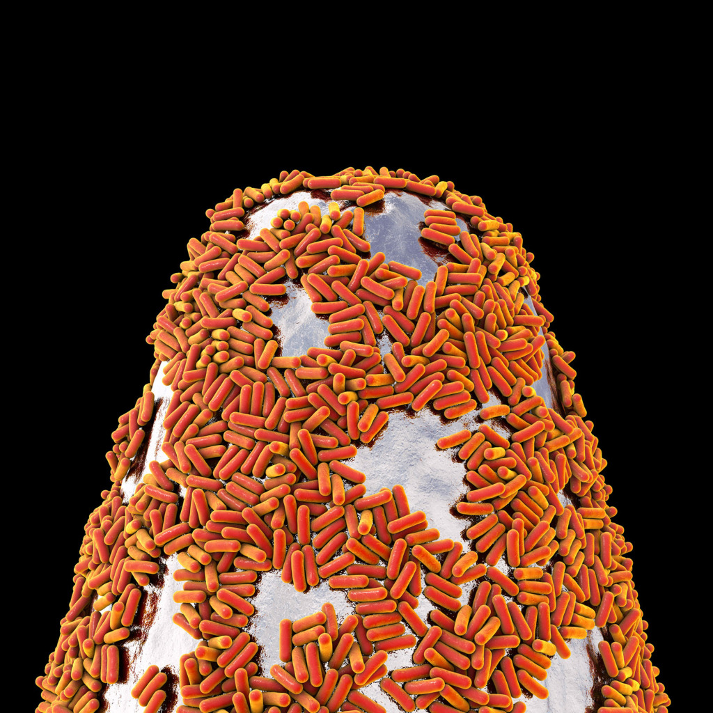 Bacteria on a pin, illustration