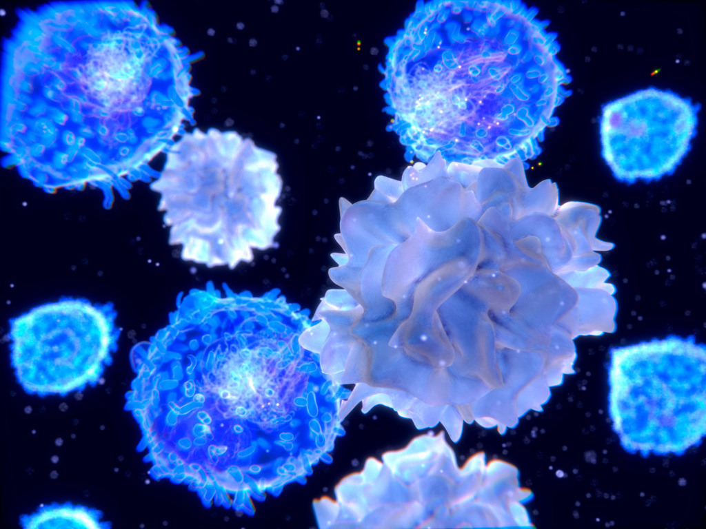Lymphocytes and dendritic cells