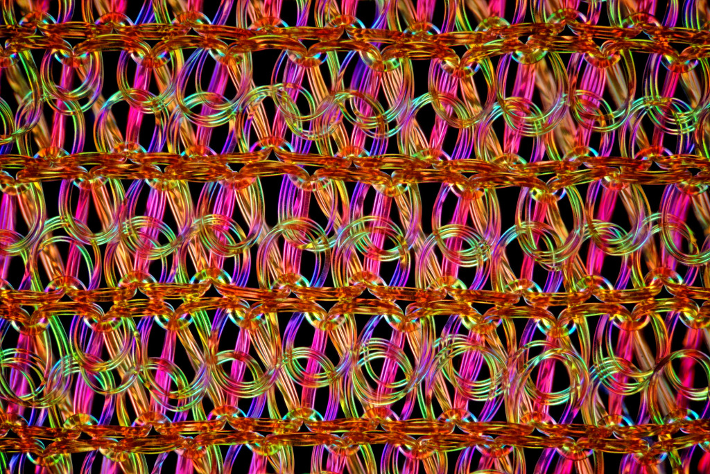 Elastic sock structure, light micrograph