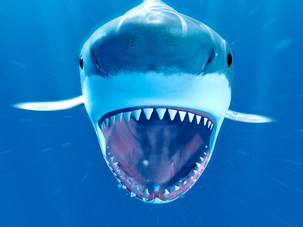 Shark swimming underwater, illustration