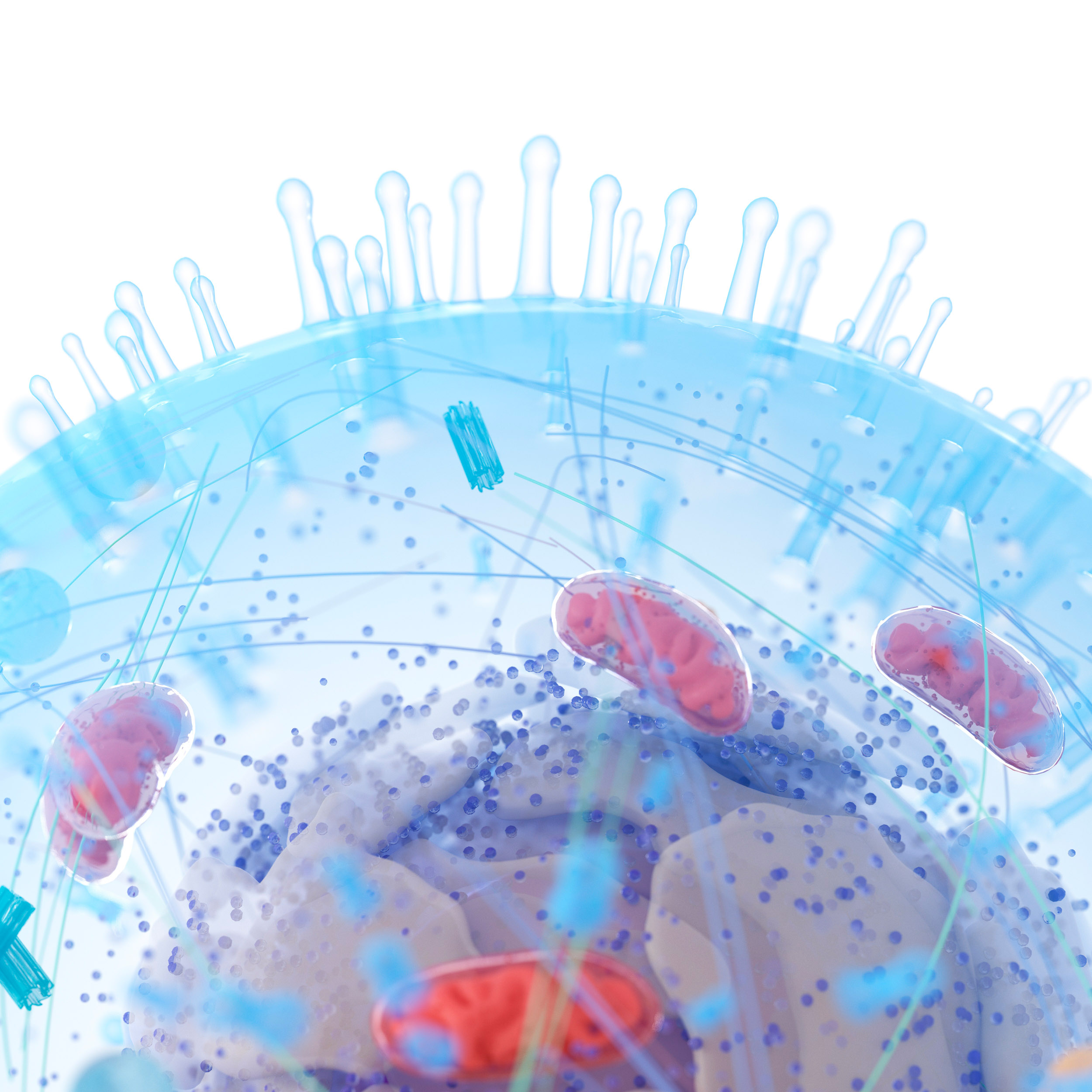 Illustration of a human cell