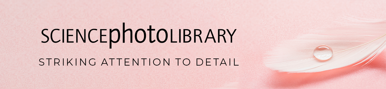 14 – Science Photo Library