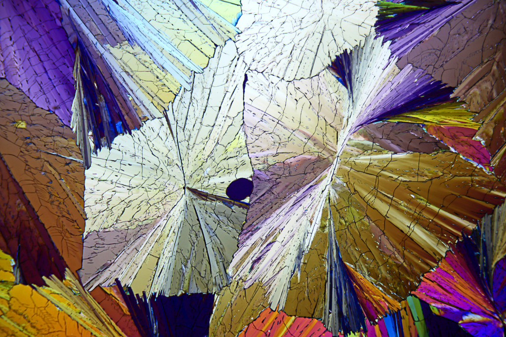 Methyl sulphonal crystals, micrograph