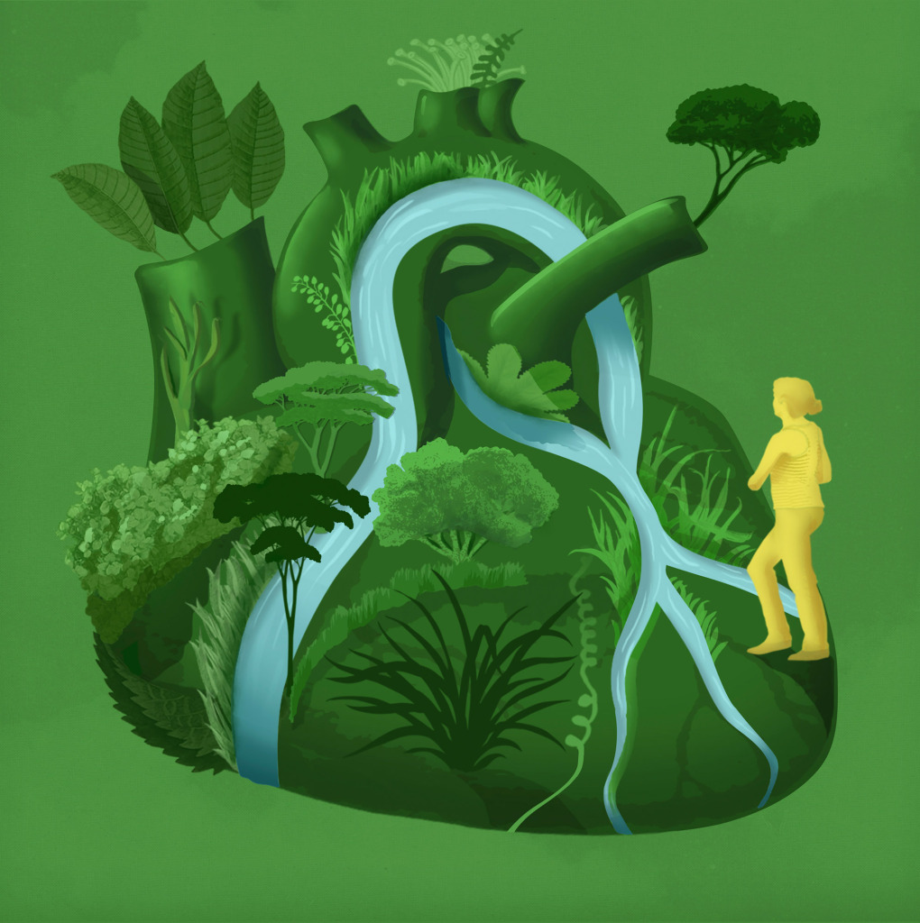 Heart health, conceptual illustration