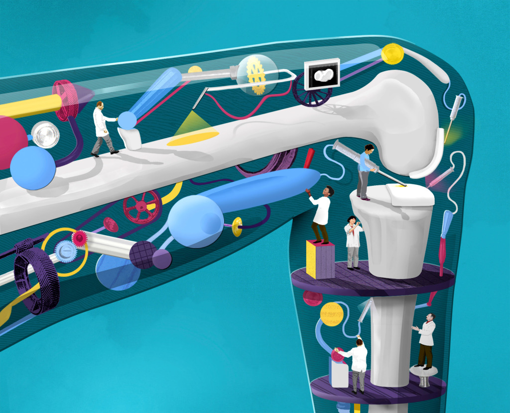 Knee doctors, conceptual illustration