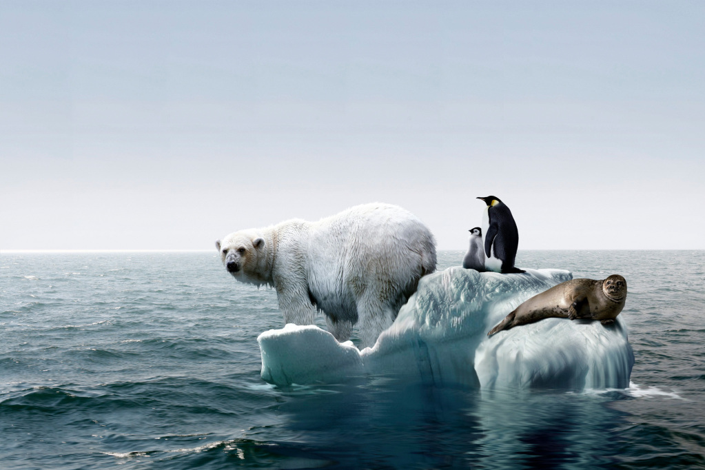 Global warming, conceptual image
