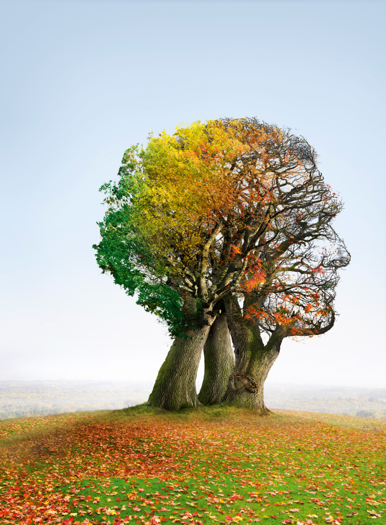 Ageing, conceptual image