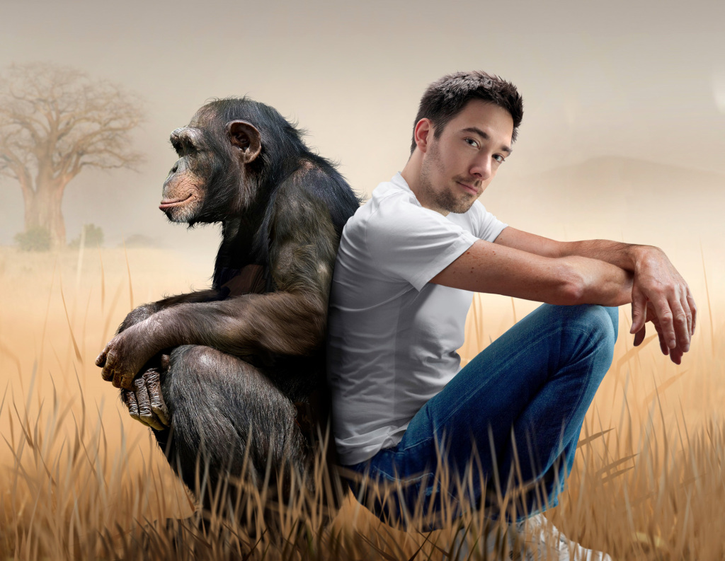 Chimpanzee-human ancestry, conceptual image