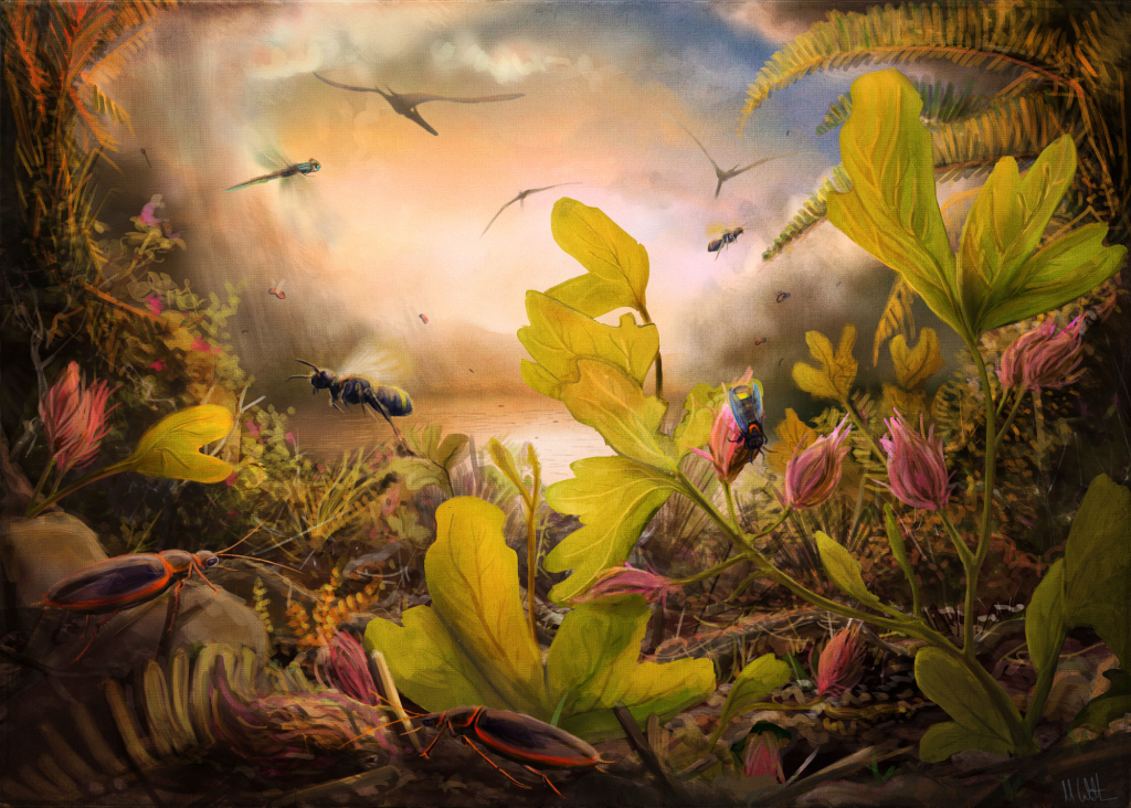 Crato formation insects, illustration