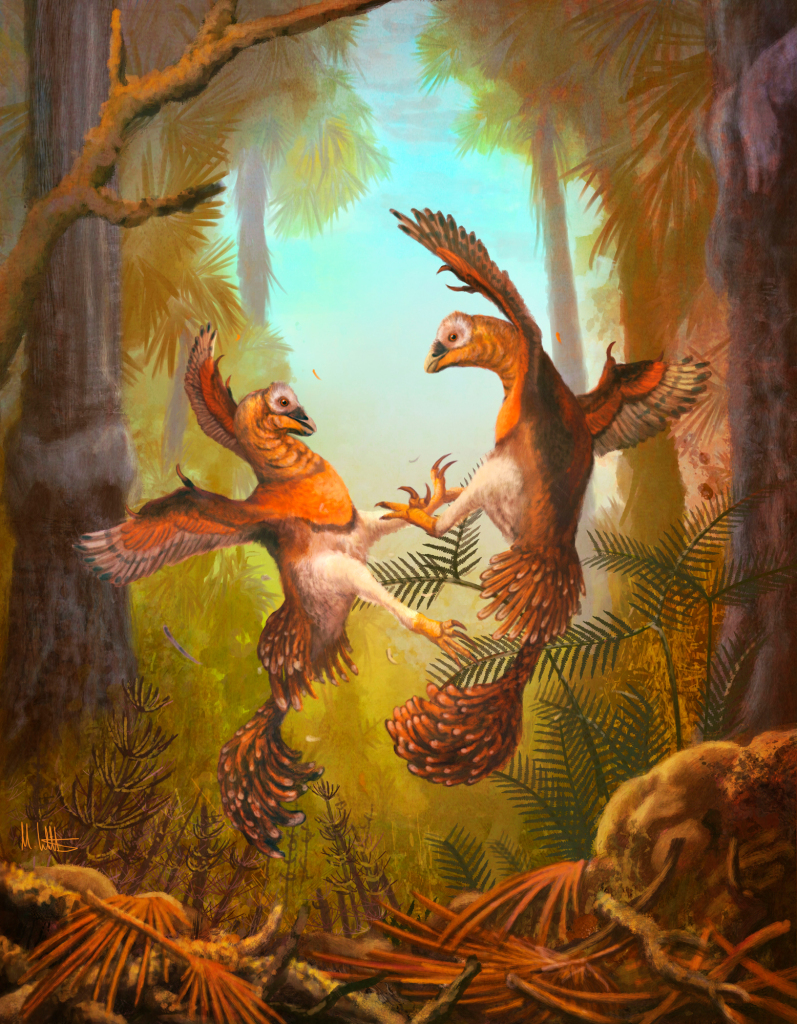 Balaur bondoc raptors fighting, illustration