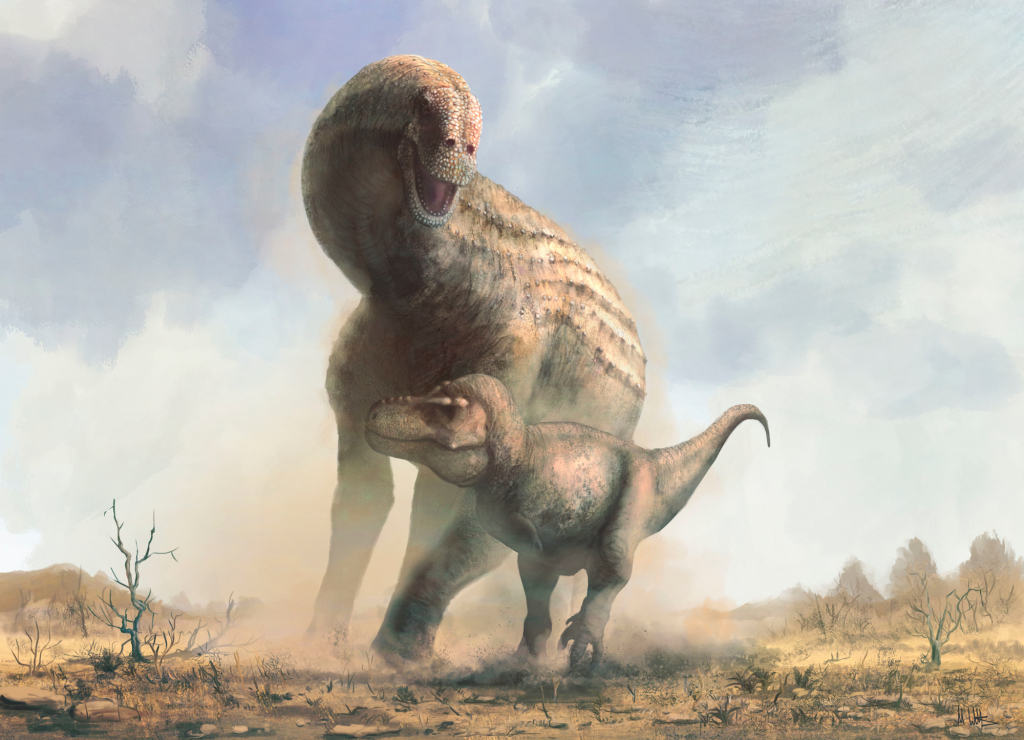 T. rex confronting an Alamosaurus, illustration