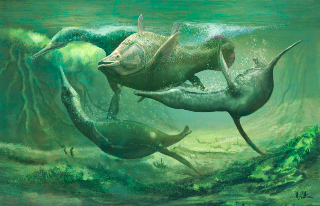 Plesiosaurs harassing prehistoric fish, illustration