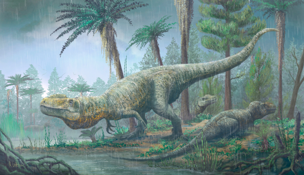 Megalosaurus dinosaurs, illustration