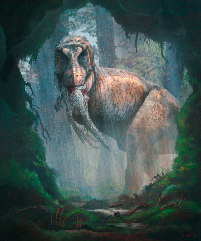 Tarbosaurus dinnosaur eating, illustration