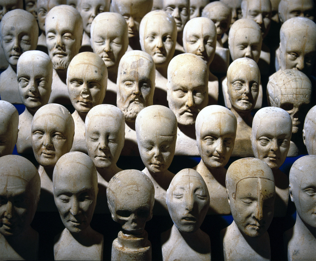 Phrenological heads, 1831 Phrenological heads, lined up in rows front-facing